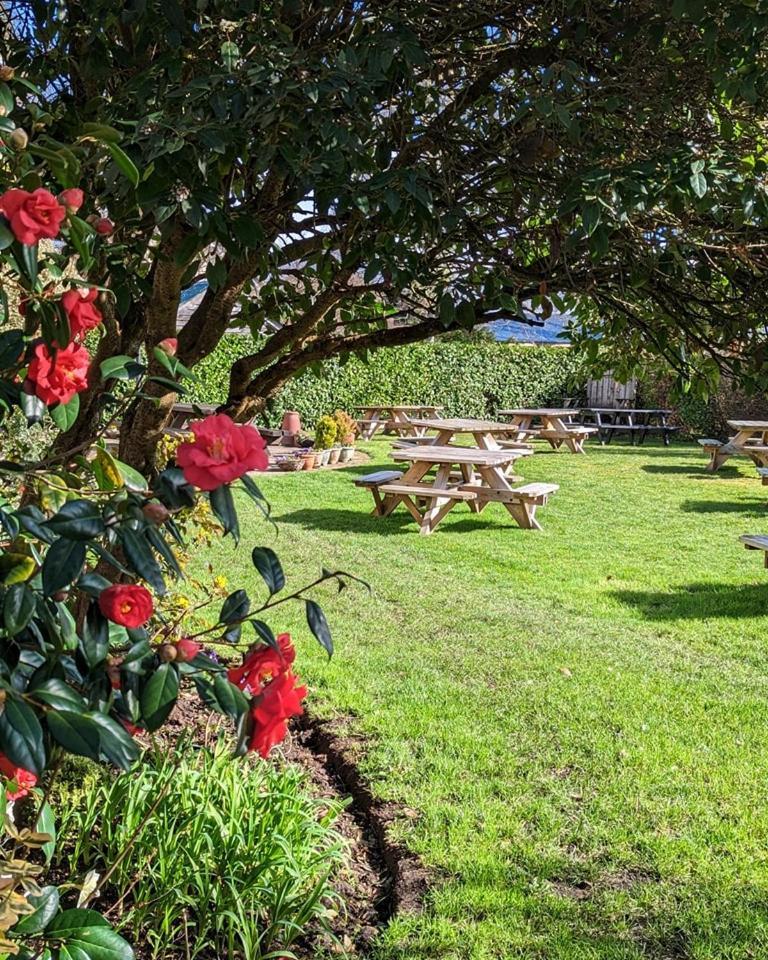 The Mortimer Arms (Adults Only) Romsey Exteriör bild